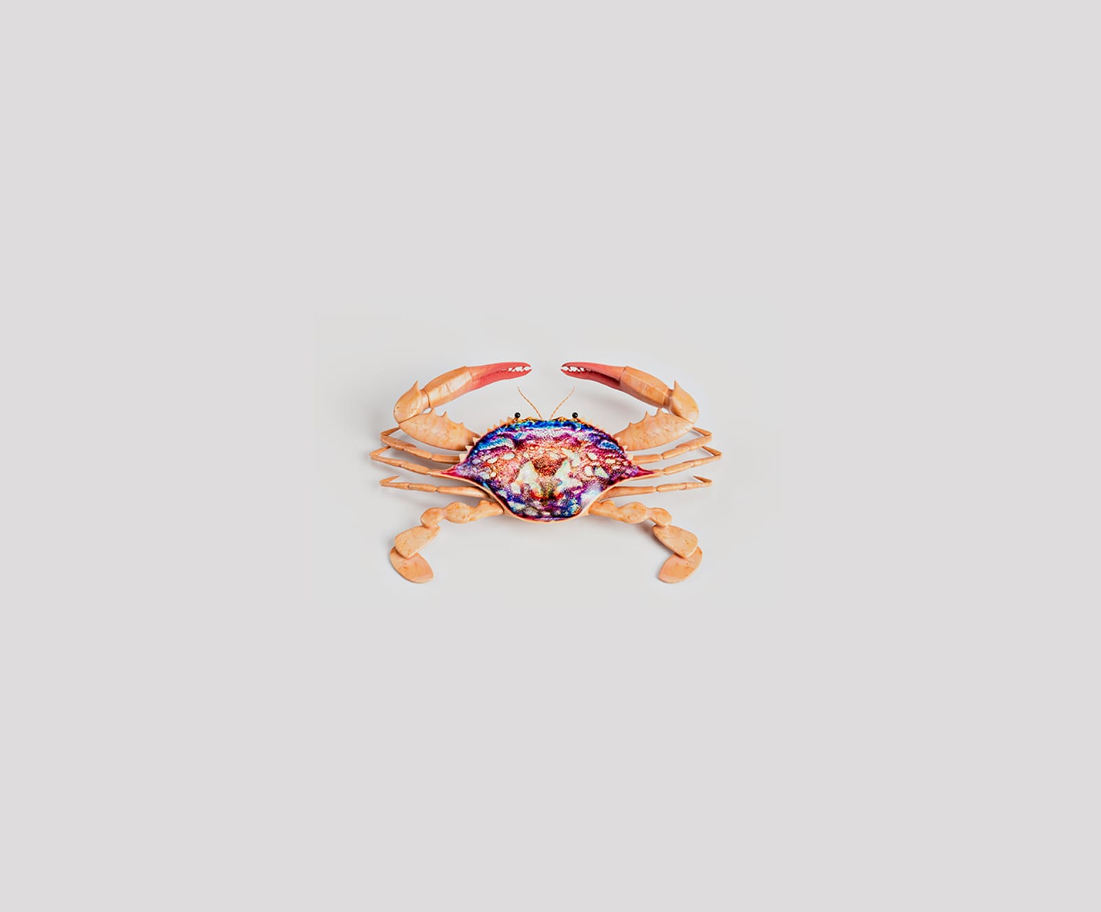 Photo of crab with a colorful back sitting on a grey table